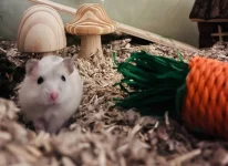 IMG_5784.webp IMG_5784.webp