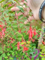 IMG_20240810_130432_600.webp