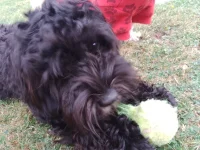 IMG_20240828_180116_018.webp