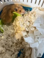 IMG_2122 jpeg.jpeg IMG_2122 jpeg.jpeg