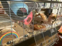 IMG_2115 jpeg.jpeg IMG_2115 jpeg.jpeg