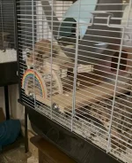 IMG_2138 cropped jpeg.webp IMG_2138 cropped jpeg.webp