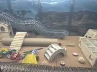 IMG_0569.jpeg