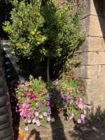IMG_2303.jpeg
