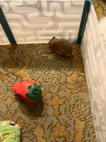IMG_2322 jpeg.jpeg