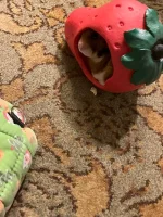 IMG_2325 jpeg.jpeg