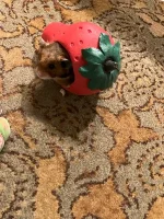IMG_2327 jpeg.jpeg
