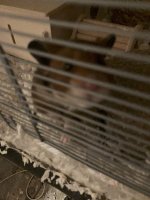 IMG_2334 jpeg.jpeg