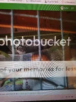 20240927_225134.webp