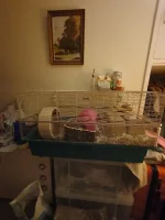 20240927_222629.webp