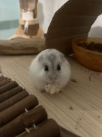 IMG_1998.jpeg