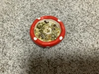 IMG_2459.webp IMG_2459.webp