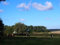 IMG_7745.jpeg