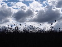 IMG_7743.jpeg