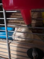 IMG_8913.jpeg