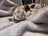 IMG_8926.jpeg