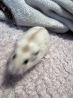 IMG_8931.jpeg