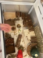IMG_8028.jpeg