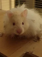 20241011_223251.webp 20241011_223251.webp