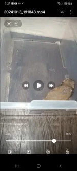 Screenshot_20241013_192716_Video Player.webp