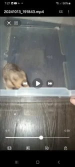 Screenshot_20241013_192725_Video Player.webp