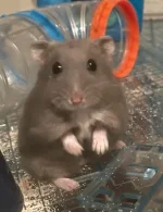 IMG_0985.jpeg IMG_0985.jpeg