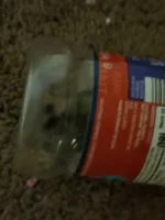 HenryPeanut2.webp