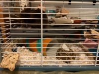 IMG_7786.jpeg