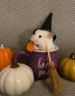 IMG_4771.jpeg