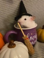 IMG_4766.jpeg