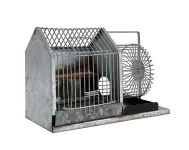 1920 mouse cage.webp