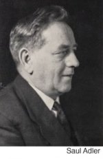 Saul Adler.jpg