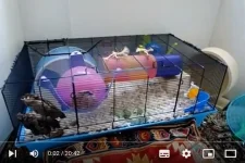 Charlie set up no house.jpg Charlie set up no house.jpg