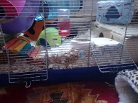 P5140009.JPG P5140009.JPG