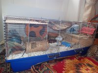 2016 Sept new cage layout (20).JPG