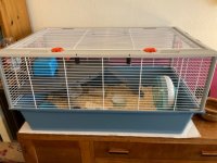 IMG_6837.jpeg