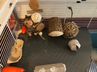 IMG_7040.jpeg