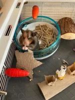 IMG_7165.jpeg IMG_7165.jpeg