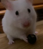 IMG_5044.jpeg