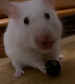 IMG_5045.jpeg