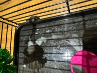 IMG_9169.jpeg
