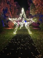 IMG_7852.jpeg