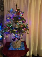 thumbnail_IMG_0550.webp