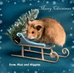 Higgins Christmas card.webp