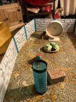 IMG_2480.jpeg