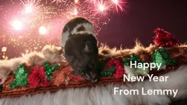 Happy New Year_Lemmy.webp