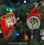 Toby & Leo 2 500 text.webp