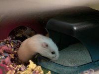 IMG_3719.jpeg