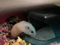 IMG_3719.webp IMG_3719.webp