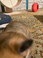 IMG_0579 jpeg.jpeg